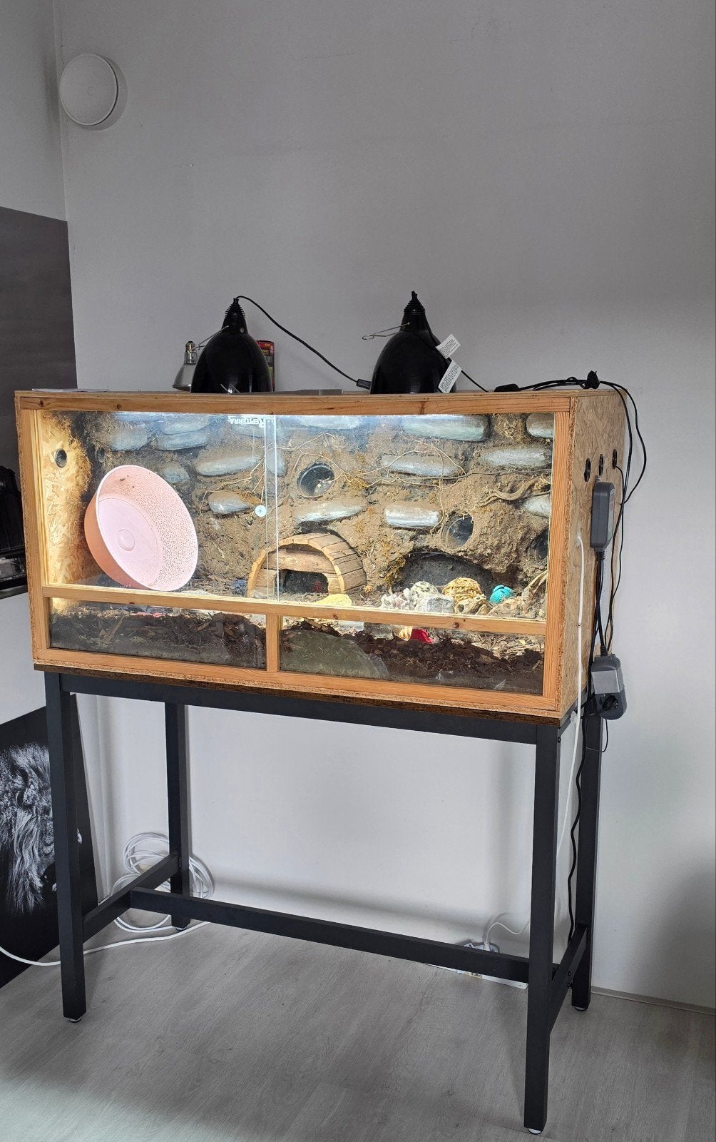compleet terrarium voor oa egel, Gebruikt, Overige typen, 75 tot 110 cm, Ophalen