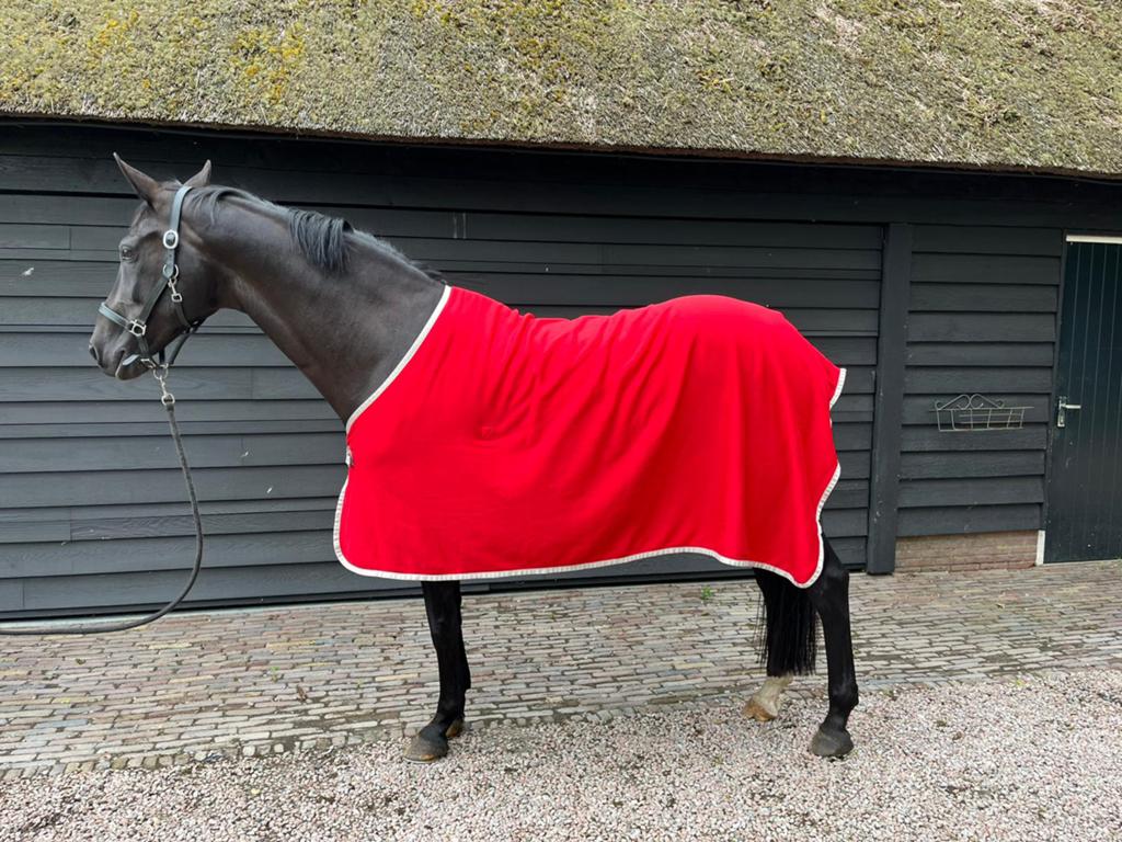 Amigo dunne fleece deken, Ophalen of Verzenden, Zo goed als nieuw