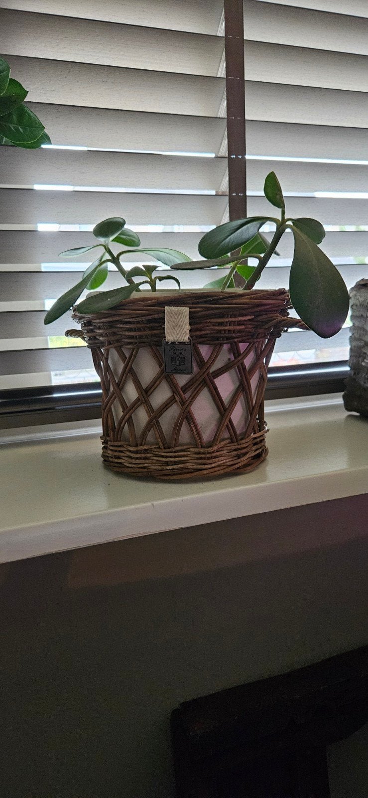 Rivièra Maison bloempot met plantje, Ophalen