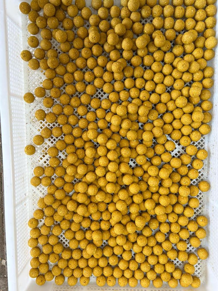 Vanille Boilies zeer zoet, Ophalen of Verzenden, Zo goed als nieuw, Overige typen
