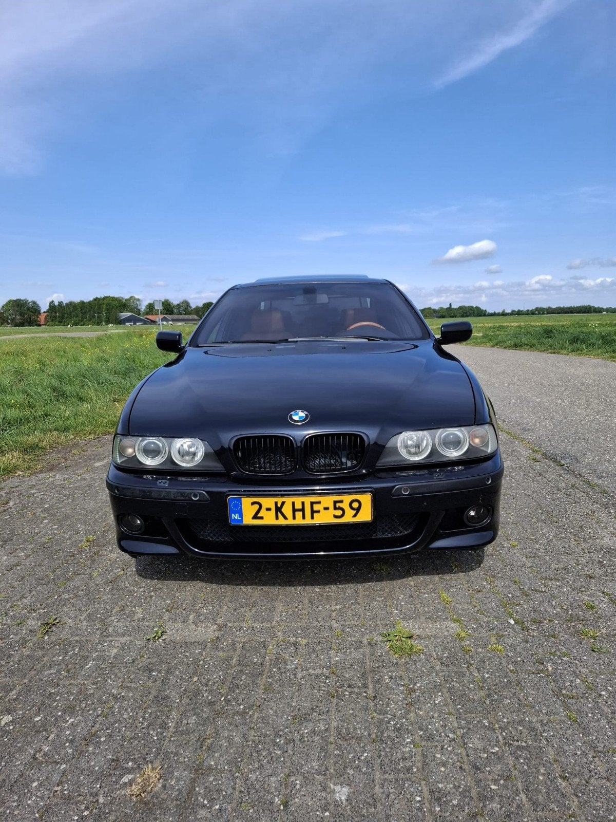 BMW BMW