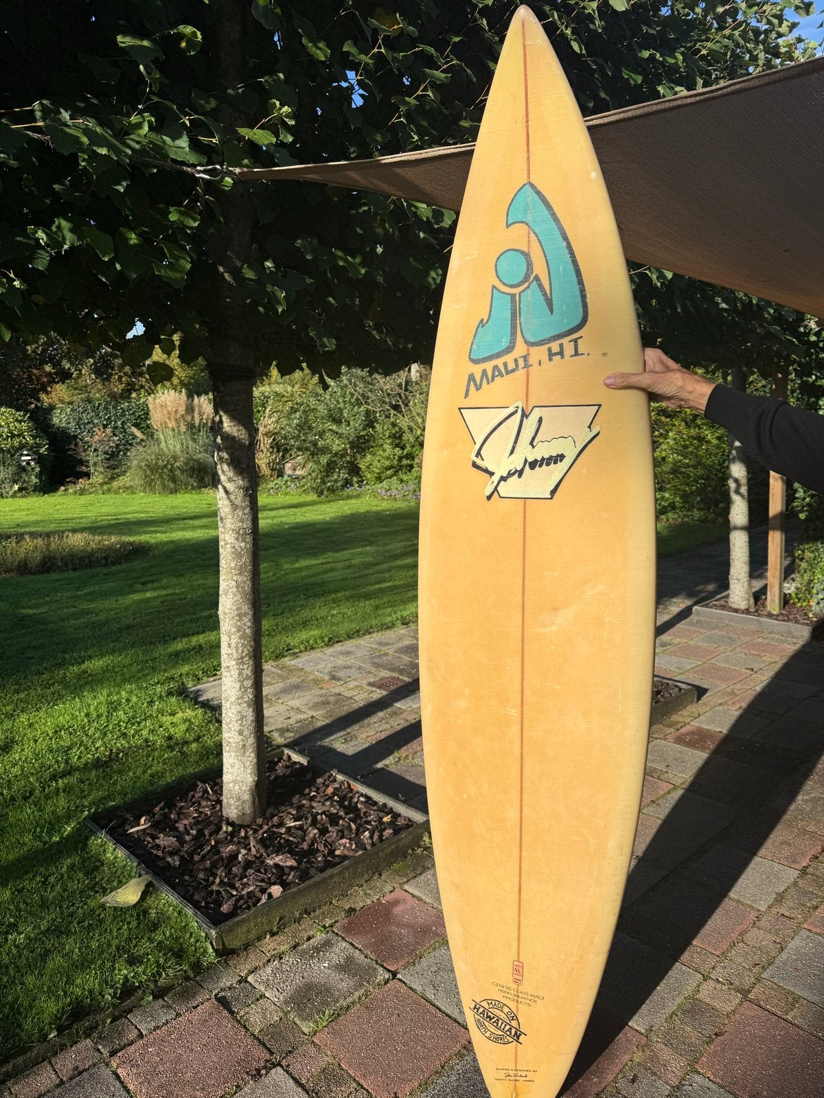Surfboard, Watersport en Boten, Ophalen, Gebruikt, Shortboard, Met vinnen