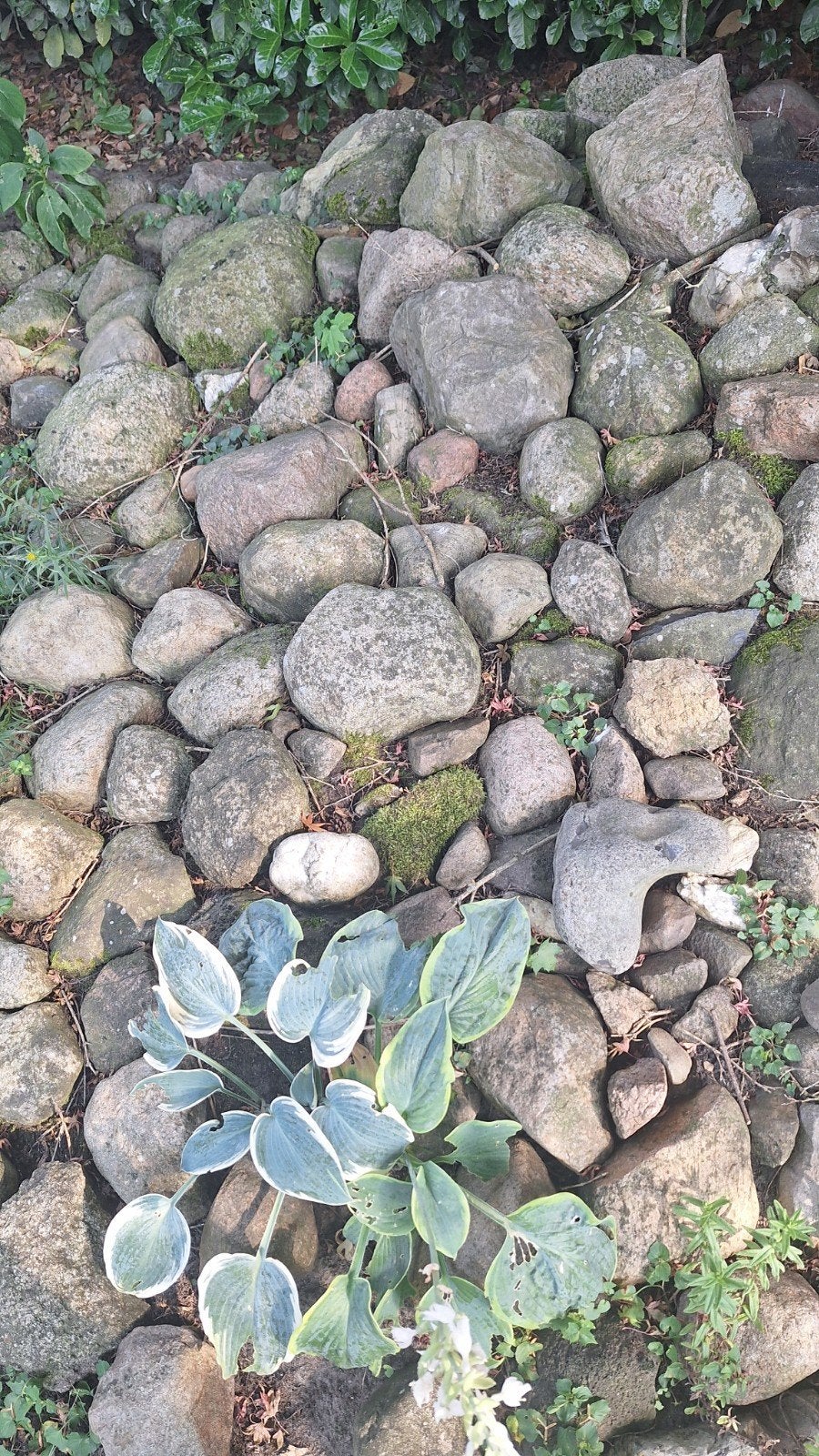 Natuurlijke keien voor bv rotstuin, Tuin en Terras, Ophalen, Overige materialen, Gebruikt, Kei