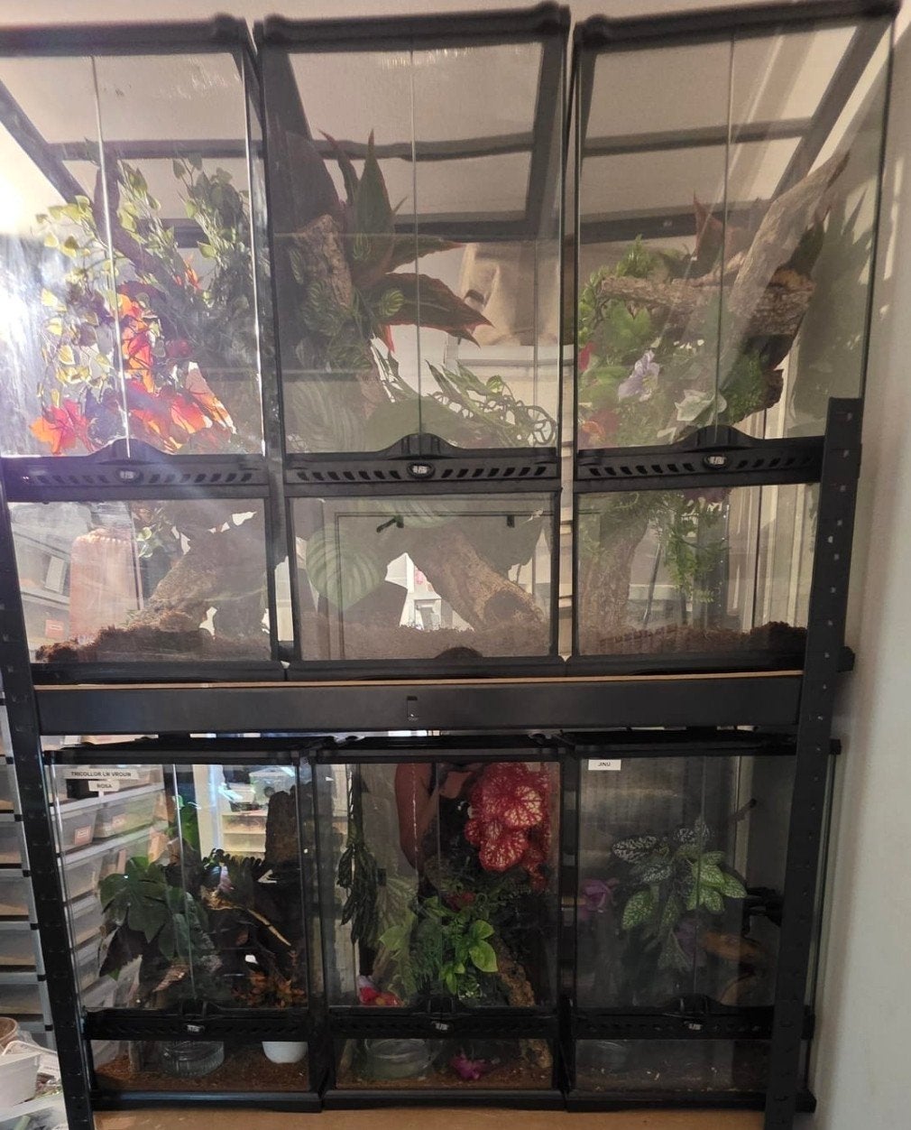 Exo terra terrariums, Dieren en Toebehoren, Reptielen en Amfibieën | Toebehoren, Ophalen, Gebruikt, Terrarium of Paludarium