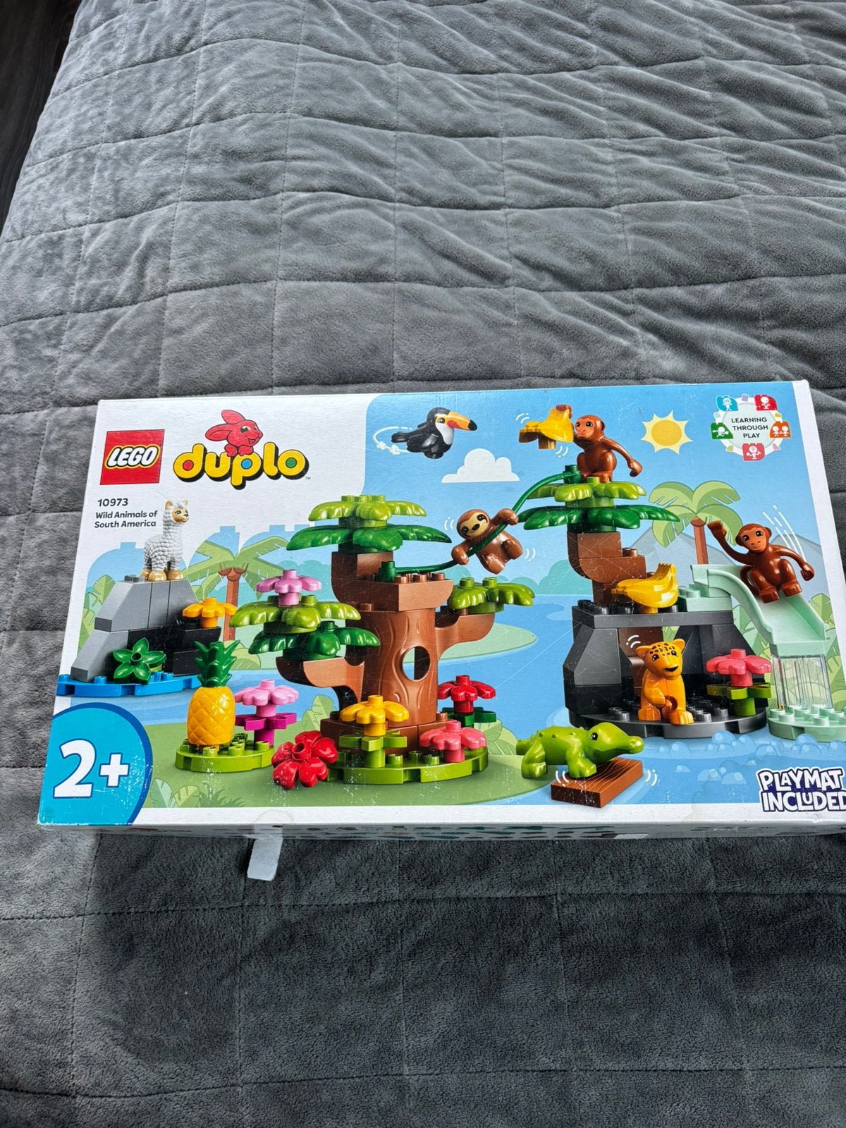 Duplo set 10973, Ophalen, 10 tot 50 stukjes, Zo goed als nieuw, 2 tot 4 jaar