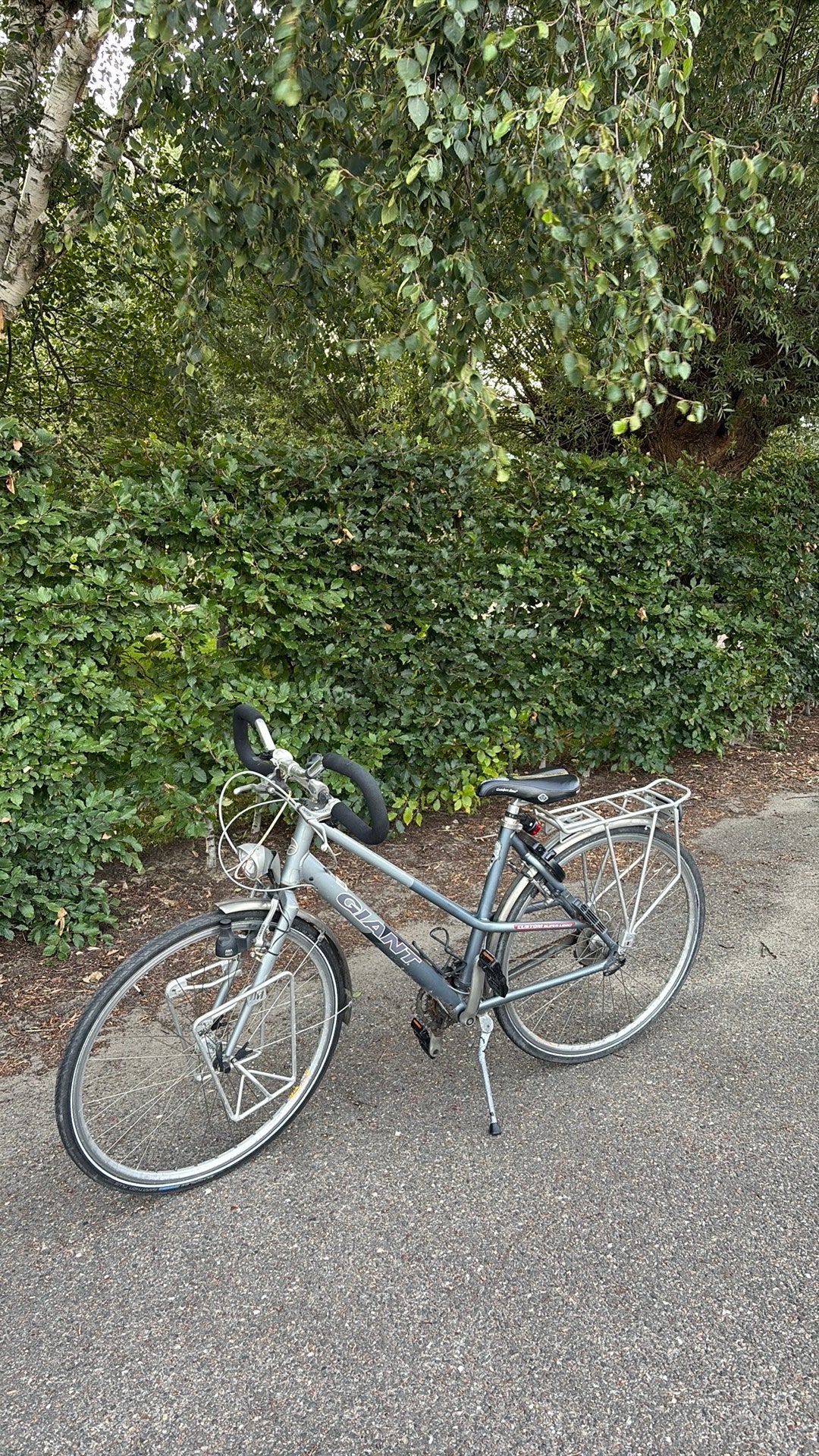 Dames Giant fiets, Ophalen of Verzenden, Zo goed als nieuw, Minder dan 10 versnellingen, Giant