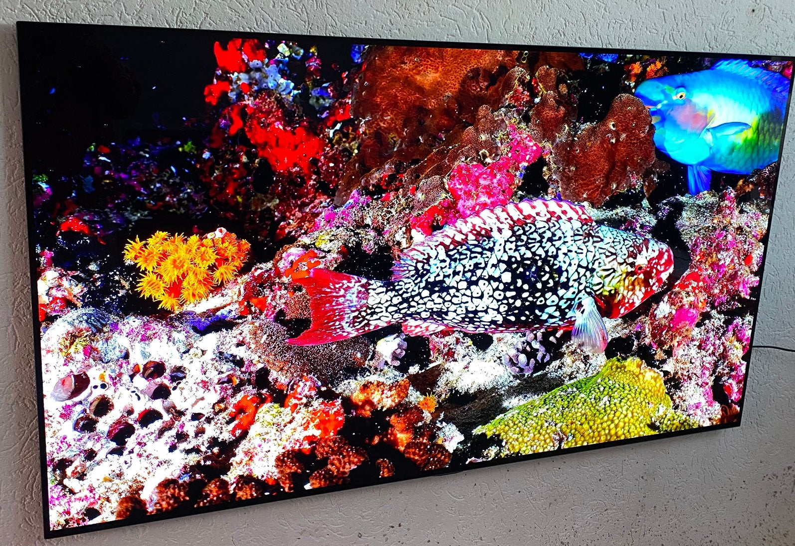 Lg 77 inch oled 4k evo oled77g1 smart tv, 120 Hz, Ophalen of Verzenden, Zo goed als nieuw, 100 cm of meer