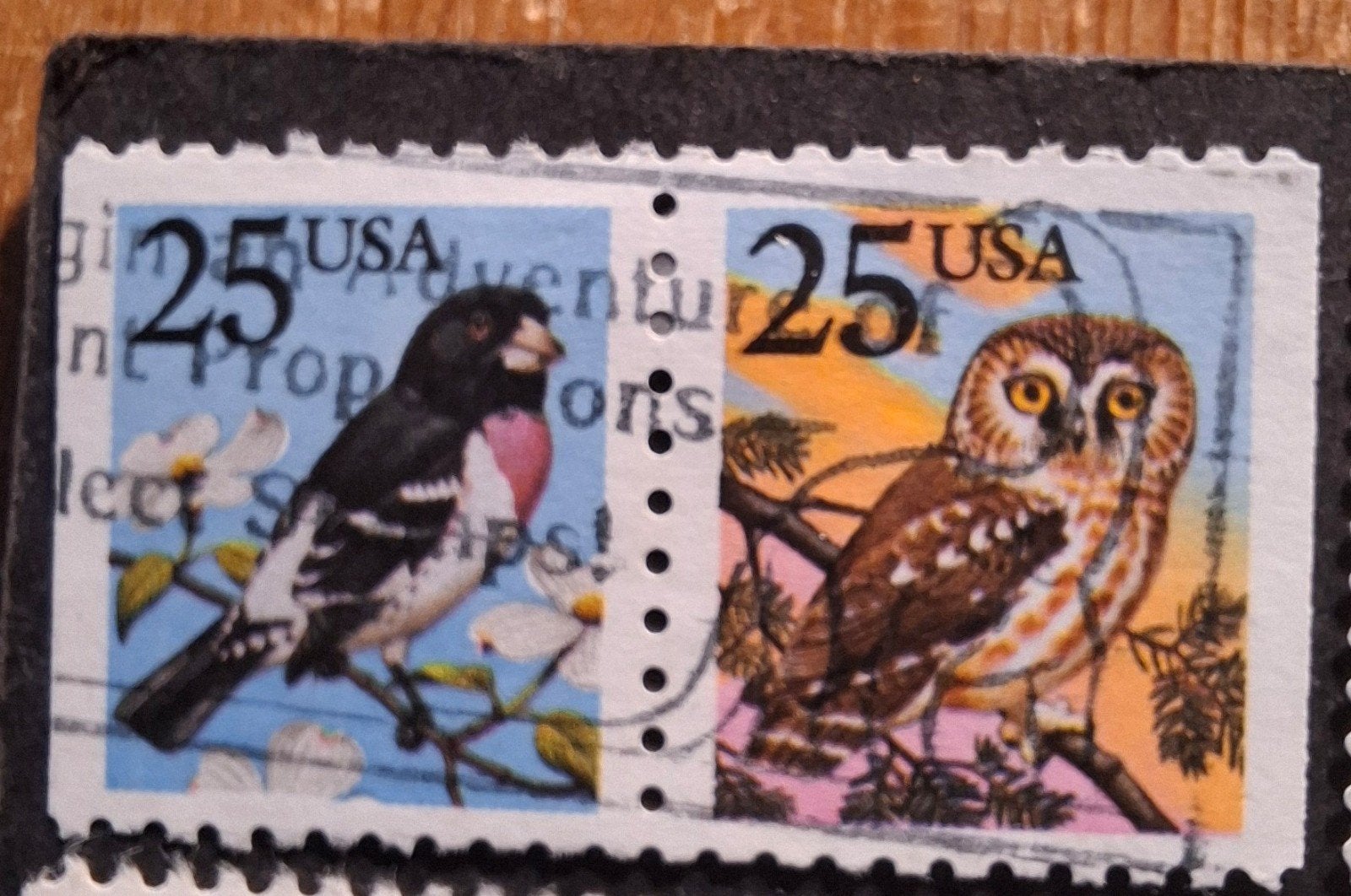 Usa 705 vogels, Ophalen of Verzenden, Noord-Amerika