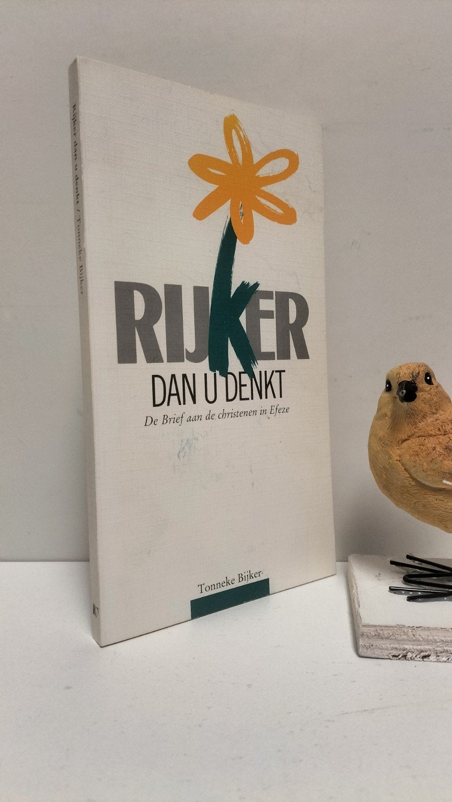 Bijker, Tonneke; Rijker dan u denkt: Brief aan Efeze, Ophalen of Verzenden, Gelezen, Christendom | Protestants