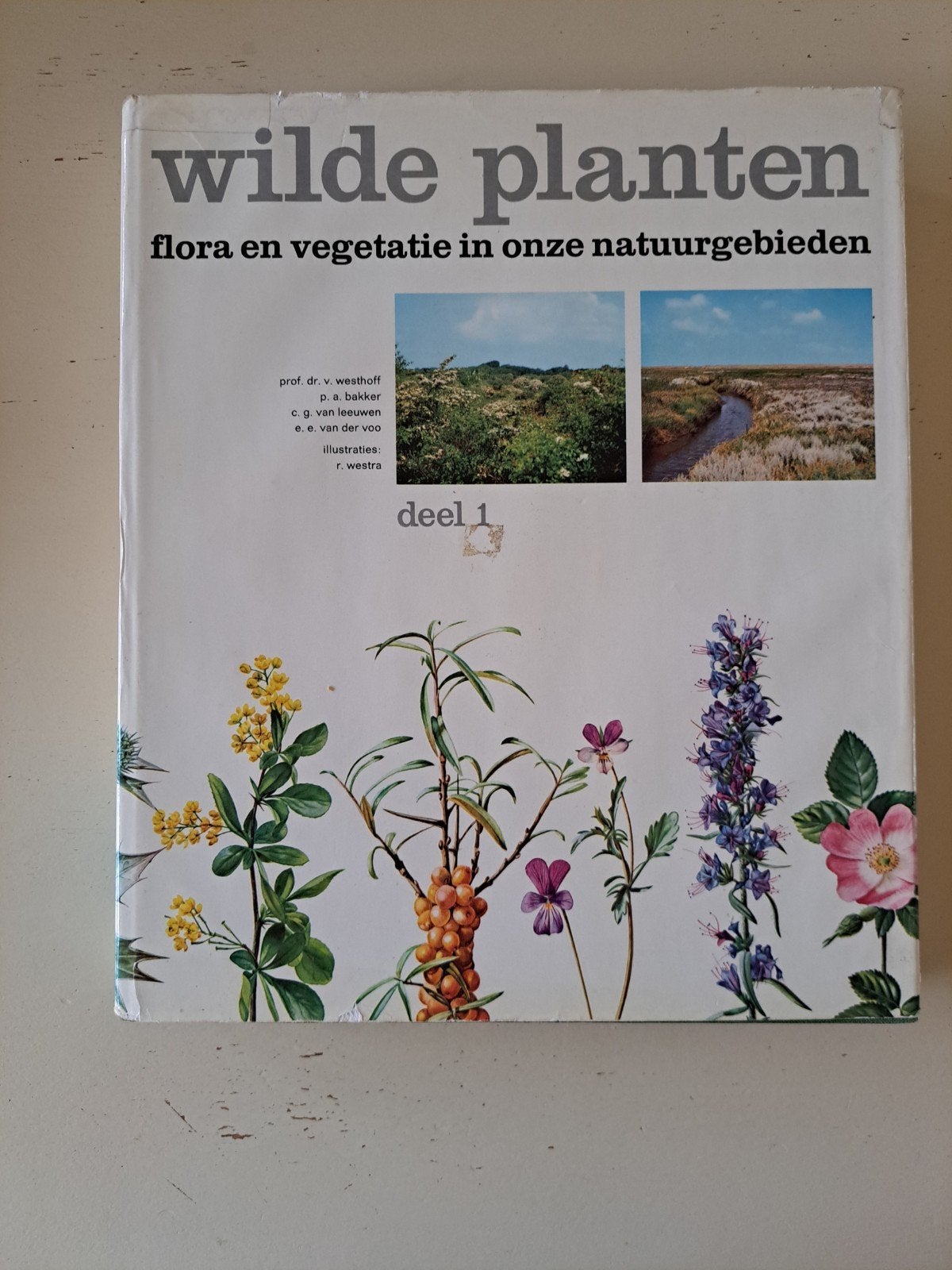 Wilde Planten - Flora en Vegetatie in onze natuurgebieden, Ophalen of Verzenden, Gelezen, Bloemen, Planten en Bomen, V. Westhoff, P.A. Bakker, C.G. van Leeuwen, E.E. van der Voo