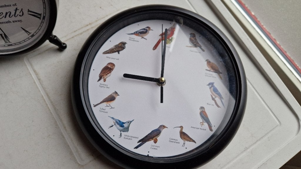 wandklok met vogels en tafelklokjes, Ophalen of Verzenden, Gebruikt, Wandklok