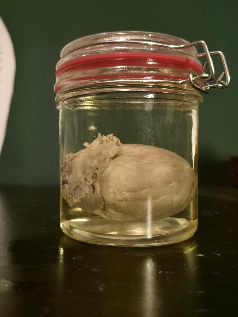 Te koop: vosse hart op sterk water, Verzamelen, Dierenverzamelingen, Ophalen of Verzenden, Nieuw, Wild dier, Overige typen