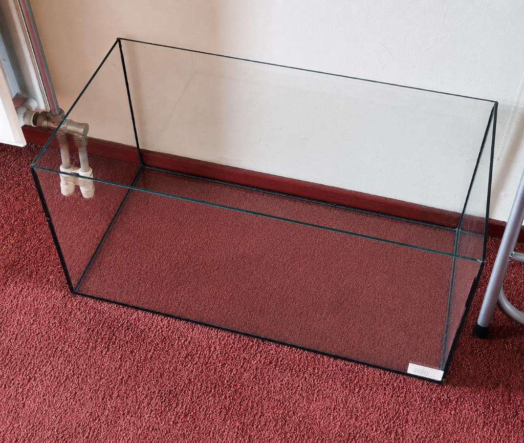 Glazen aquarium / terrarium 603030 cm, Minder dan 75 cm, Zo goed als nieuw, Muis, Hok