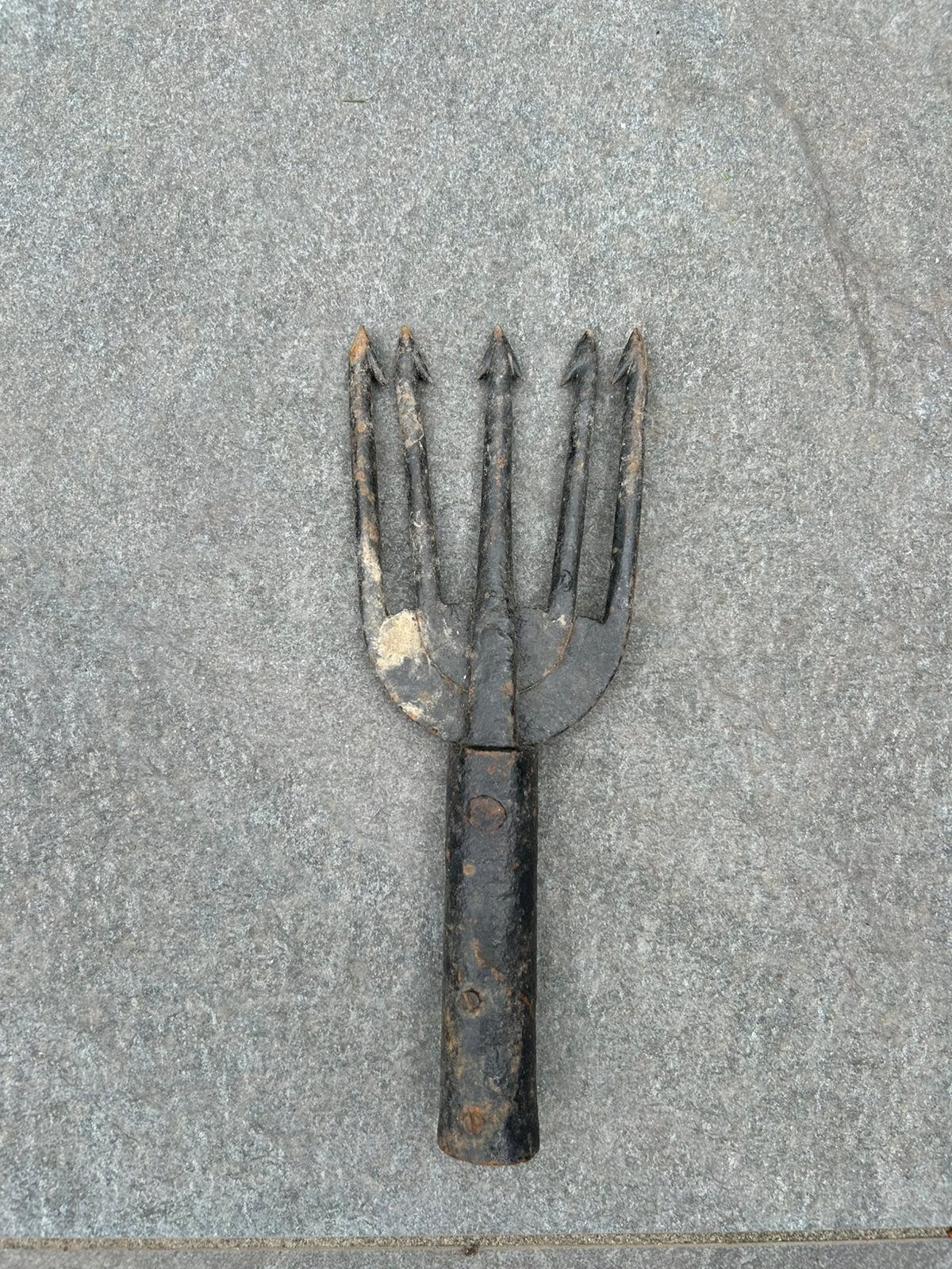 Speerkop, Ophalen of Verzenden
