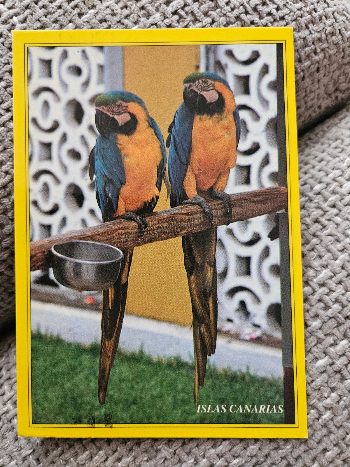 loro parque  Papegaaien op de Canarische Eilanden, Ophalen of Verzenden, 1980 tot heden, Gelopen