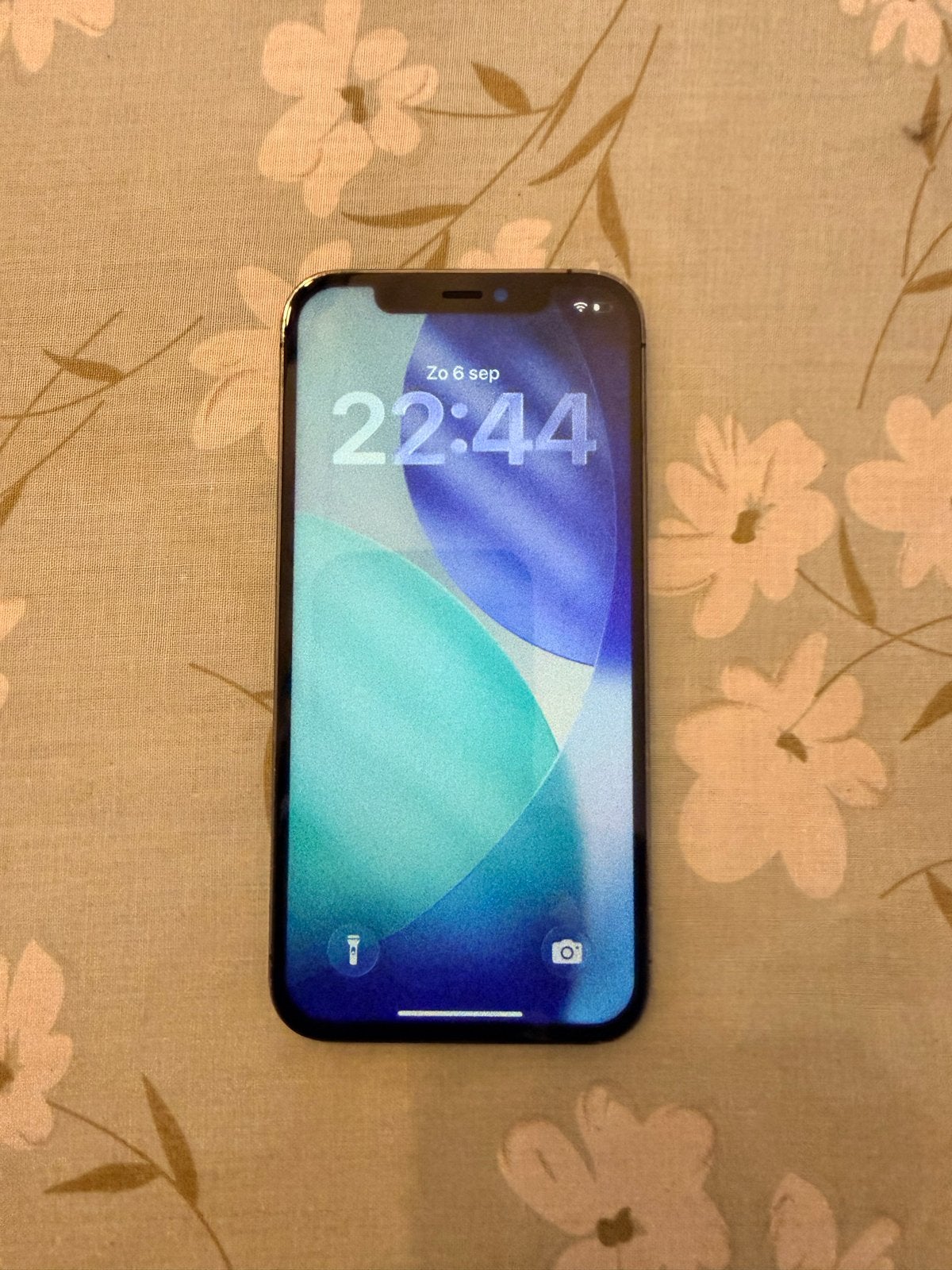 Apple iPhone 12 Pro 128GB Grafiet - Zo goed als nieuw, Telecommunicatie, 128 GB, Zo goed als nieuw, Zonder simlock, Grijs