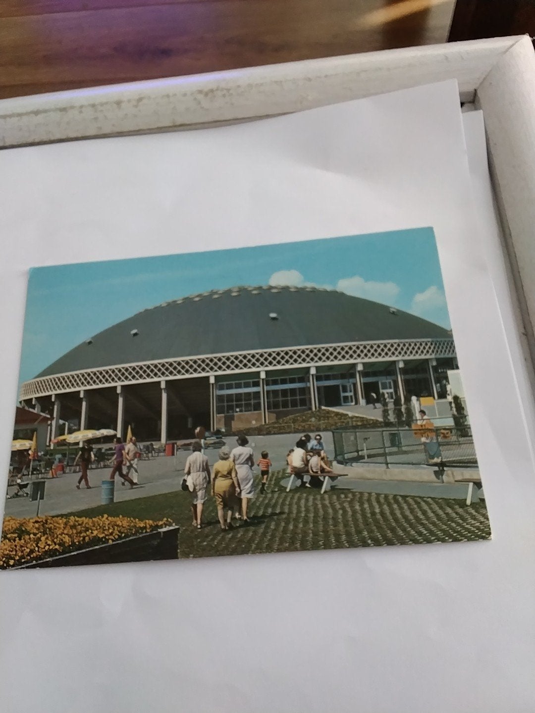 Ansichtkaart Dolfinarium Harderwijk - Jaren '70, Ophalen of Verzenden