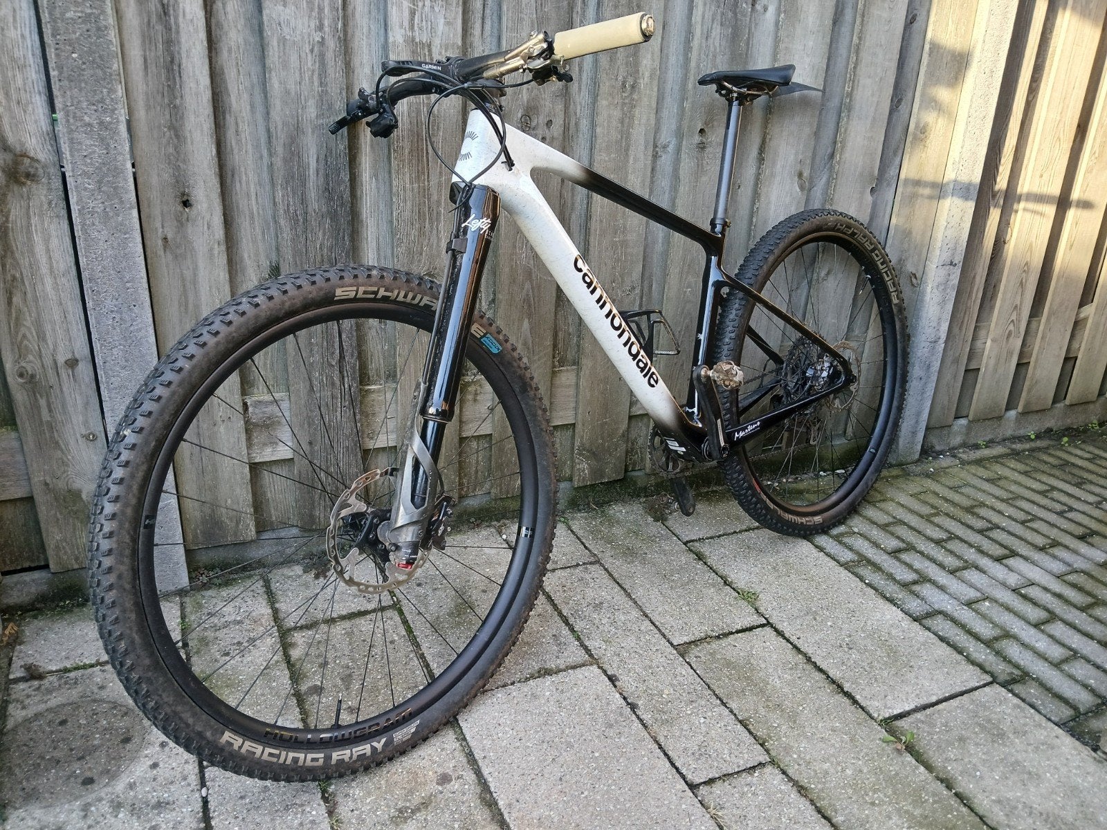Cannondale Scalpel HT Carbon 1 HiMod, Overige merken, Hardtail, 49 tot 53 cm, Ophalen of Verzenden