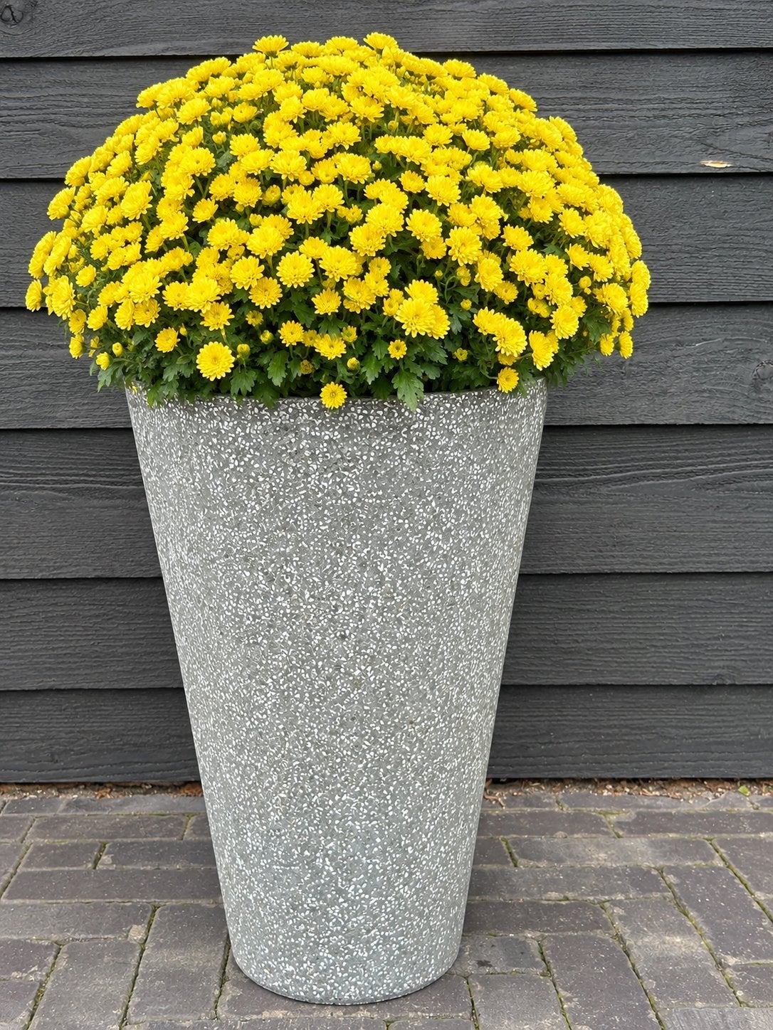 Plantenbak kunststof in granietlook voor buiten, Tuin en Terras, Ophalen, Zo goed als nieuw, Rond, Kunststof