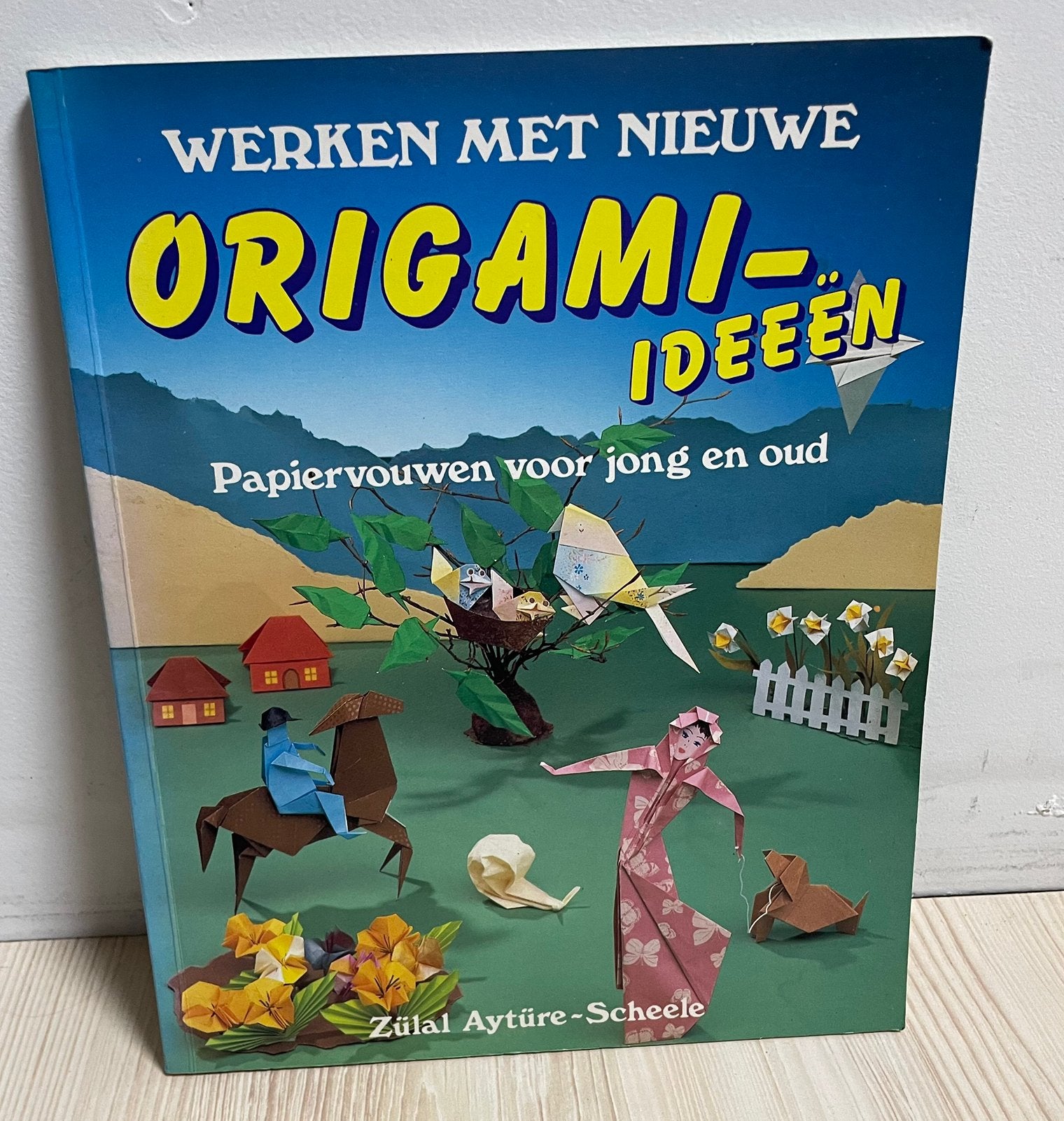 Origami-ideeën boek, Ophalen of Verzenden, Zo goed als nieuw, Overige onderwerpen, Geschikt voor kinderen