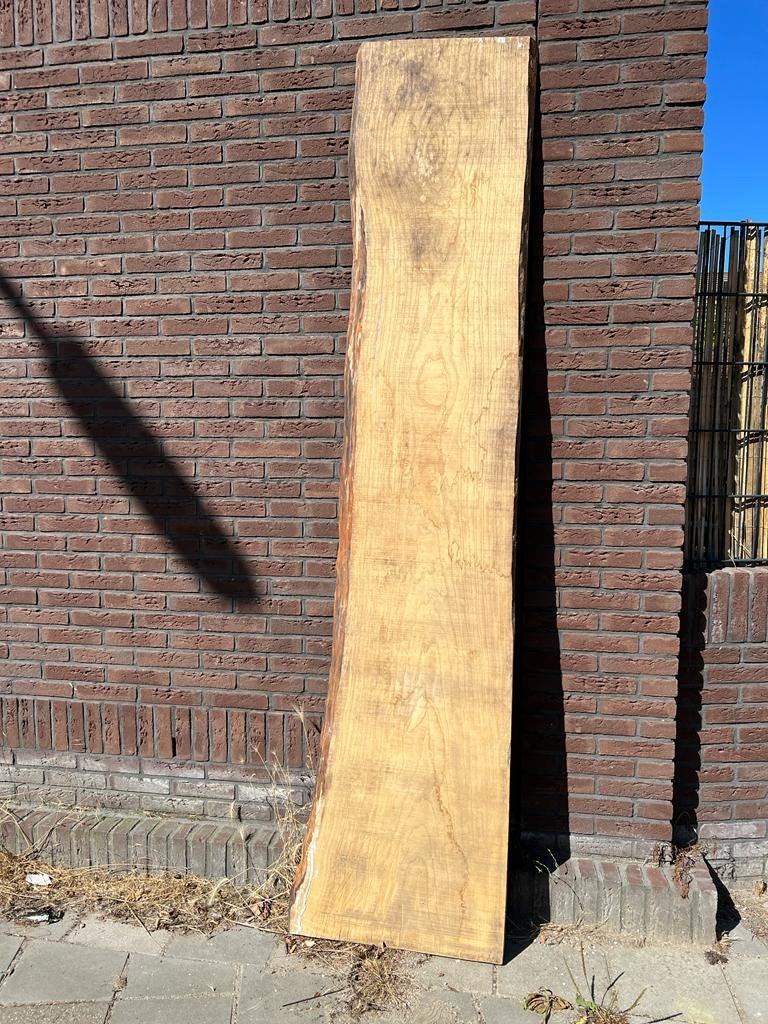 (Es) Essen schaaldelen / prachtige exemplaren, Doe-het-zelf en Verbouw, Hout en Planken, Ophalen, Zo goed als nieuw, 200 tot 250 cm