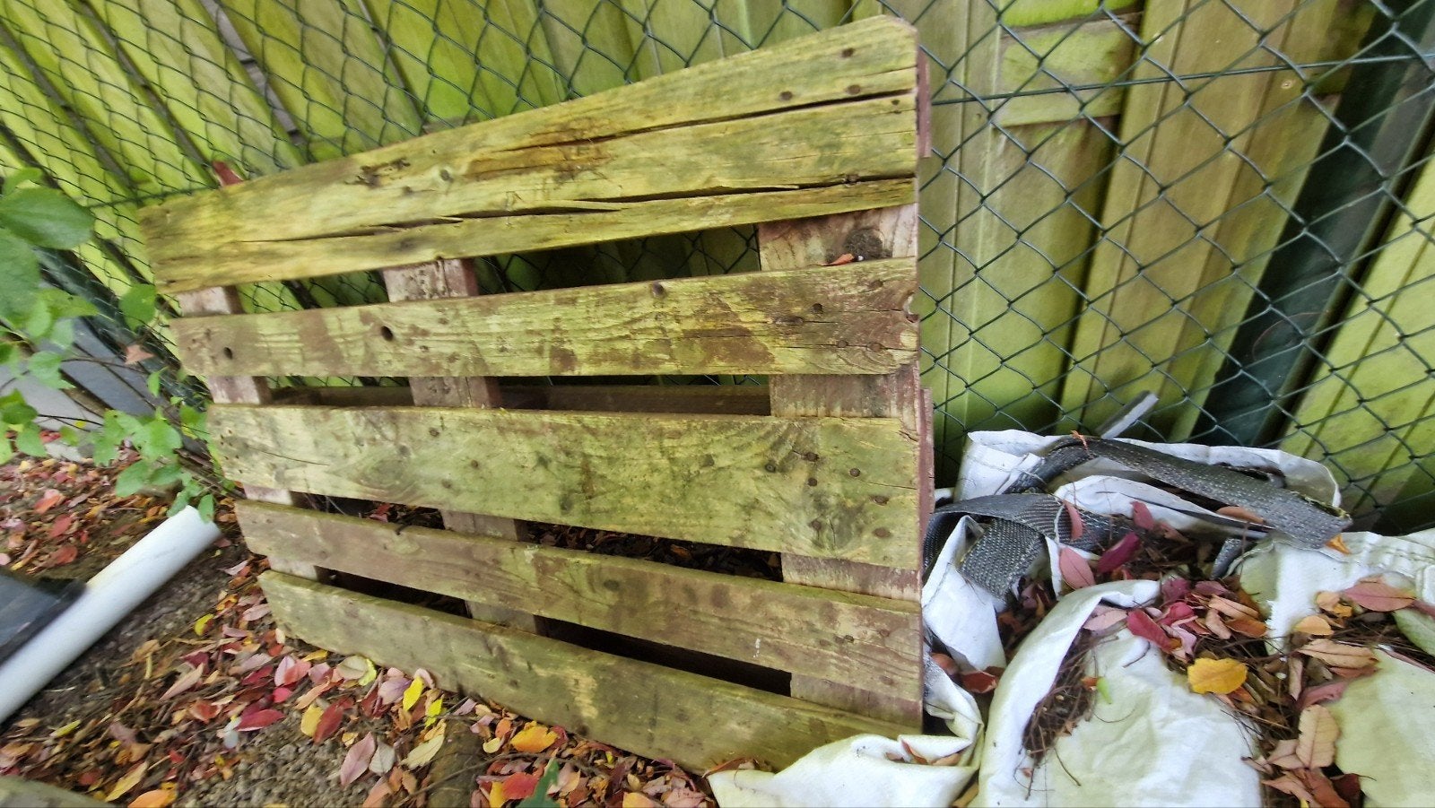 Gratis houten pallet af te halen in Sittard, Ophalen, Gebruikt