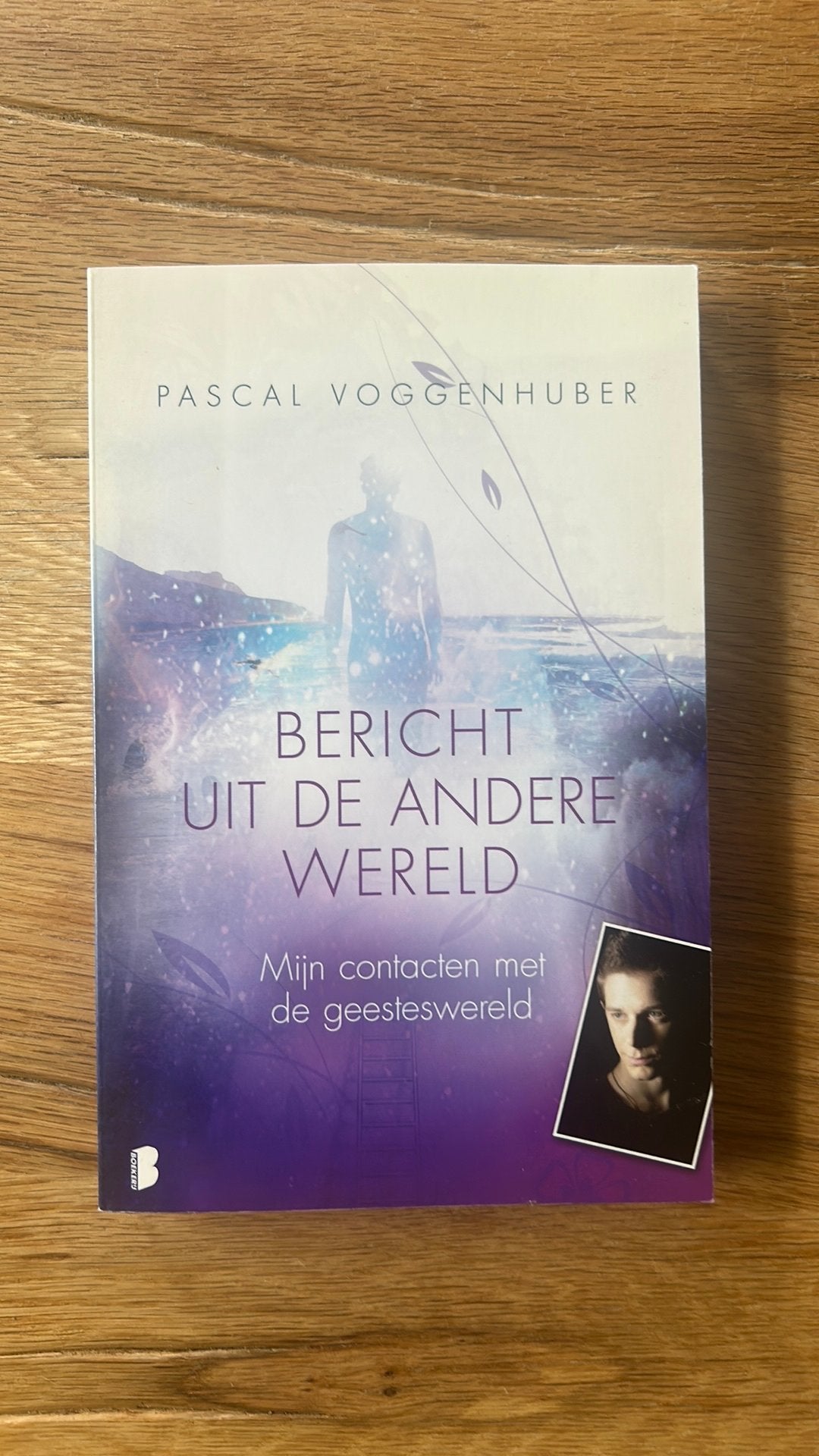 Pascal Voggenhuber - Bericht uit de andere wereld, Achtergrond en Informatie, Pascal Voggenhuber, Ophalen of Verzenden, Zo goed als nieuw