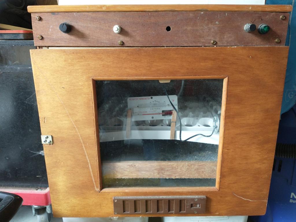 Complete broedmachine met automaat, Ophalen, Broedmachine