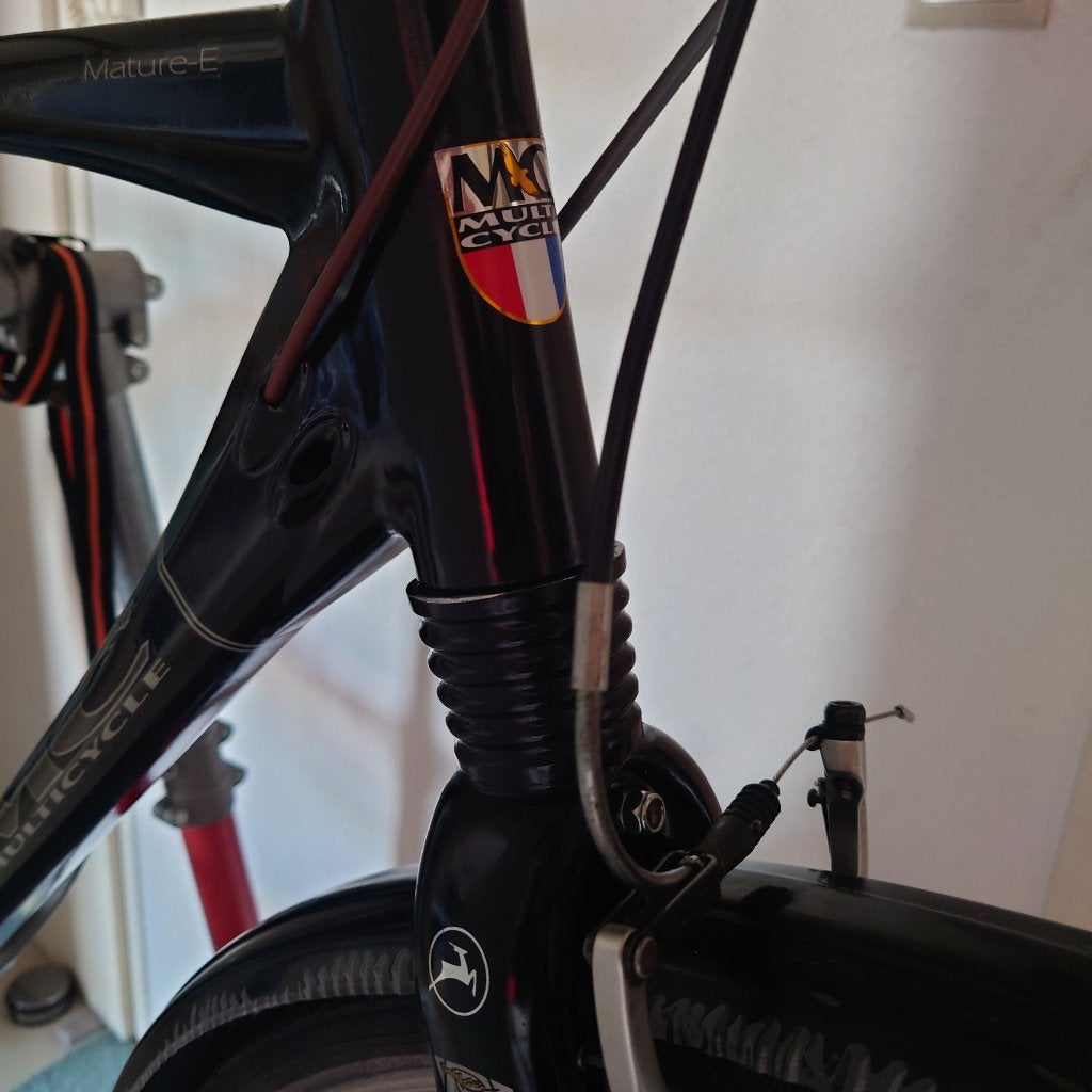 MC Multicycle Mature herenfiets bike, Fietsen en Brommers, Versnellingen, Zo goed als nieuw, 57 tot 61 cm, Ophalen