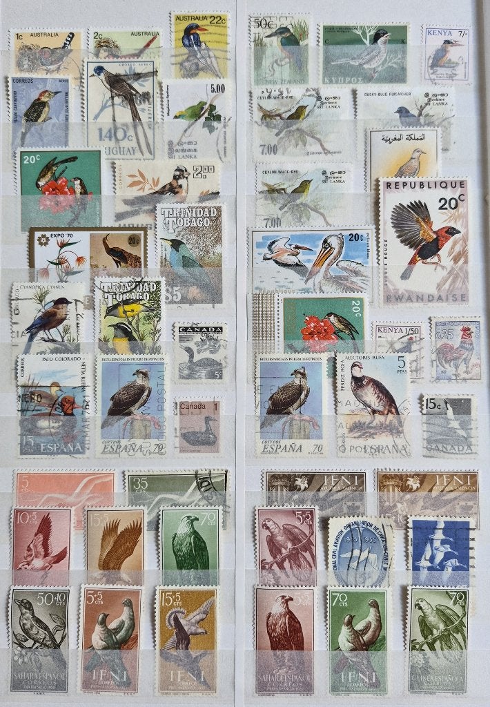 POSTZEGELS VOGELS WERELD GESTEMPELD, Verzenden, Gestempeld, Dier of Natuur