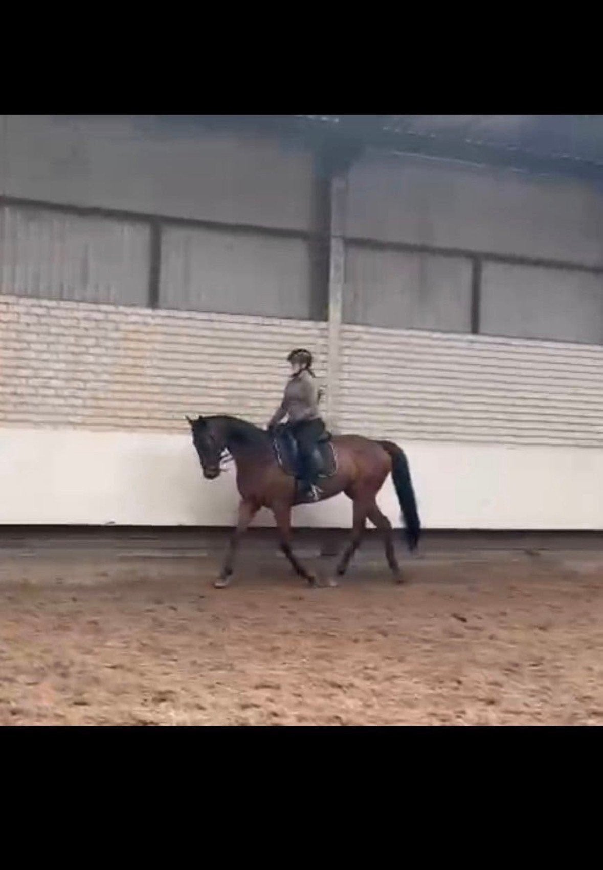 Paardrijles aangeboden - student paardenhouderij en sport
