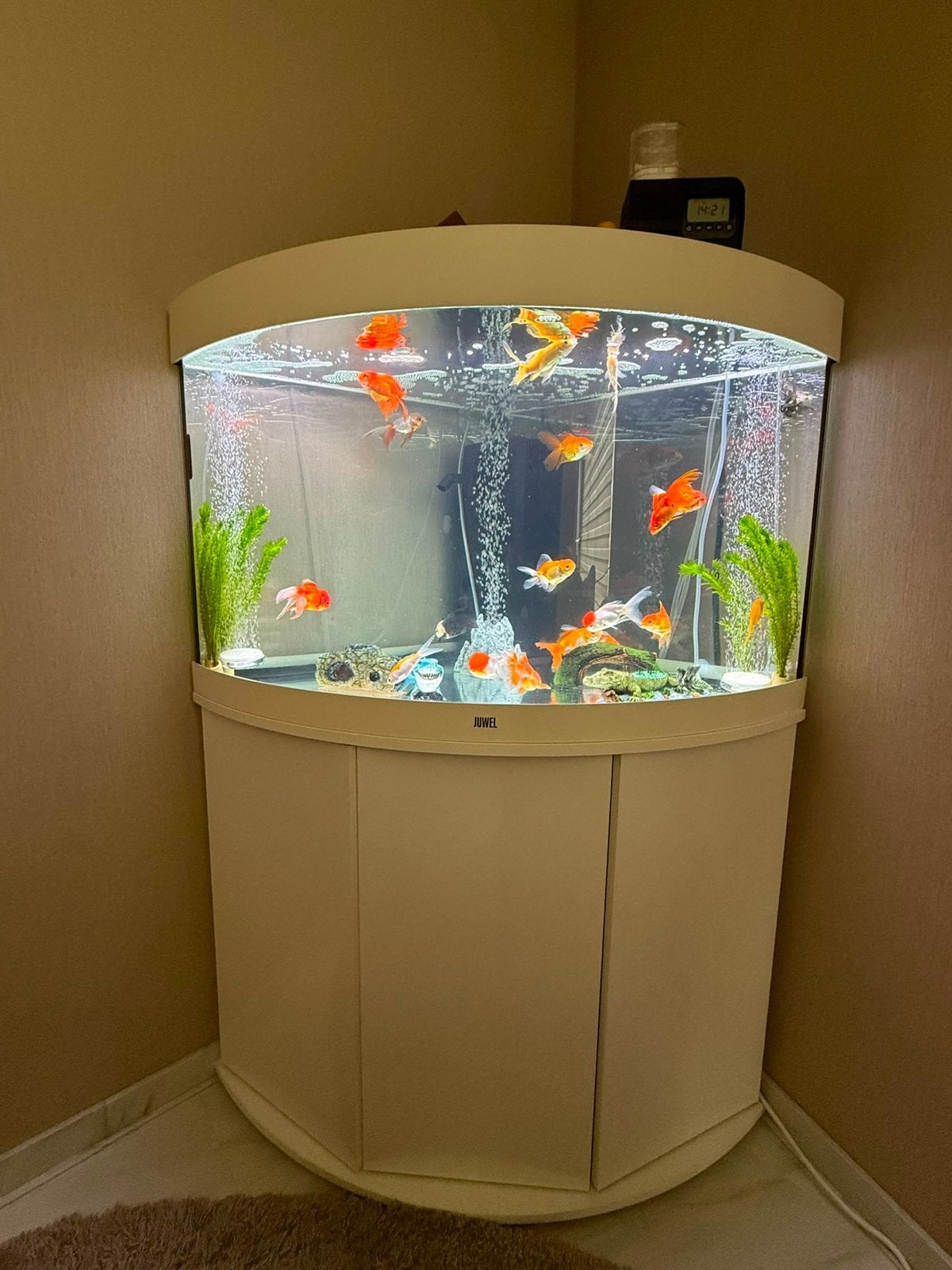 Juwel trigon 190, Dieren en Toebehoren, Ophalen, Zo goed als nieuw, Leeg aquarium, Verwarming