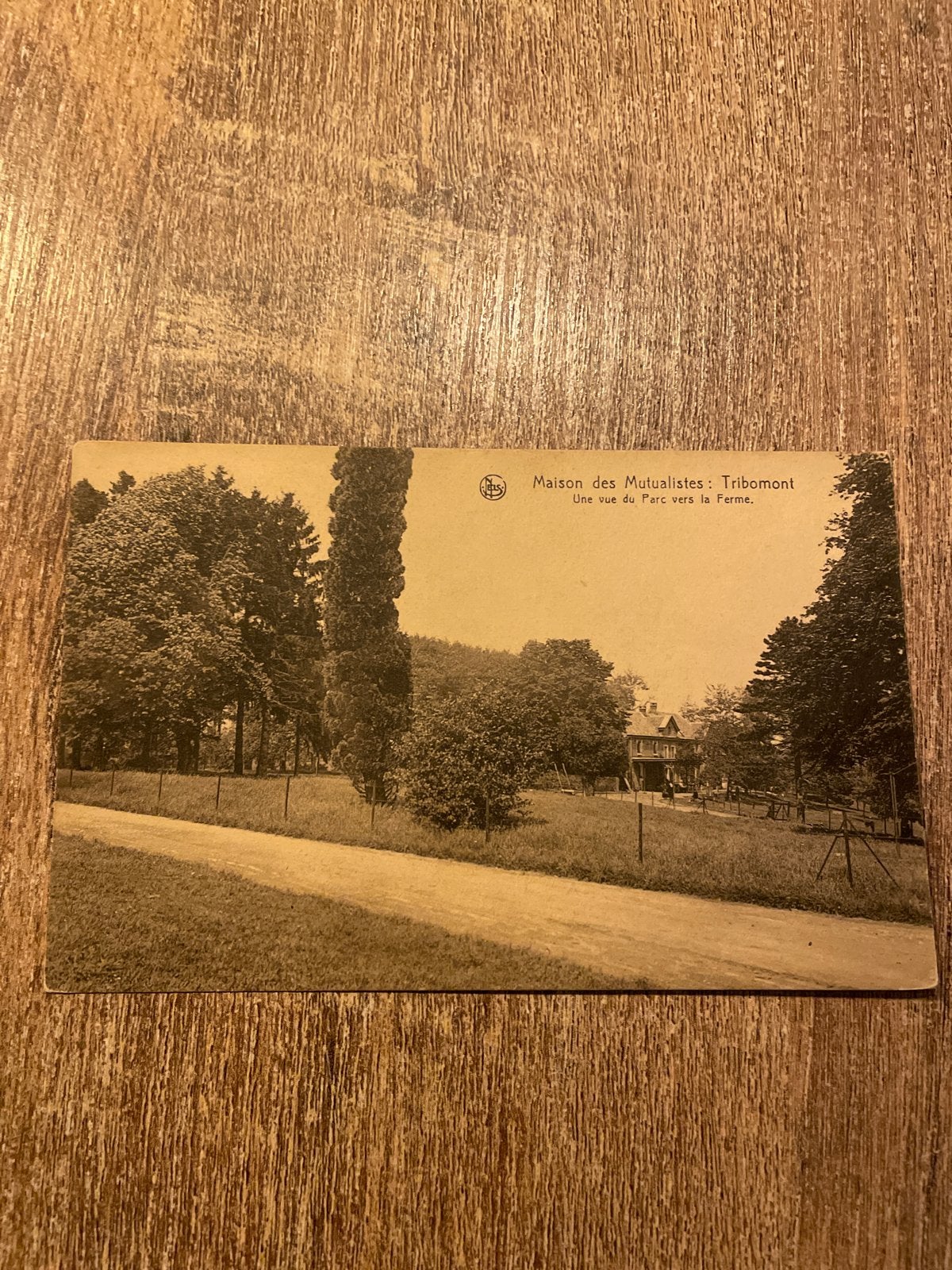 Oude Postkaart: Maison des Mutualistes, Tribomont, Ophalen of Verzenden, Gelopen, Antwerpen
