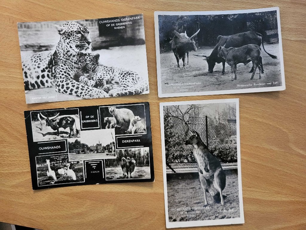 ansicht RHENEN Ouwehands dierenpark dieren (4x), Ophalen, Voor 1920, Utrecht