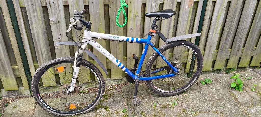 Mountainbike, Fietsen en Brommers, Ophalen, Gebruikt, 57 cm of meer, Heren