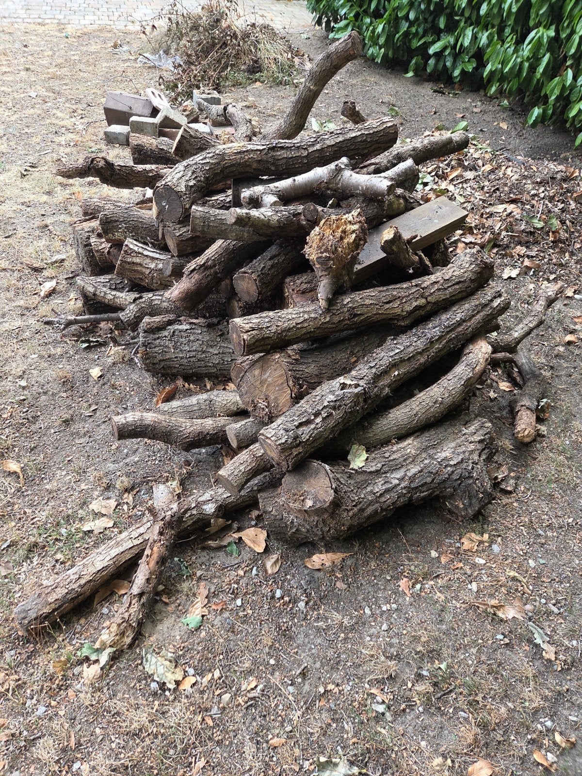 openhaard hout, Minder dan 3 m³, Ophalen of Verzenden