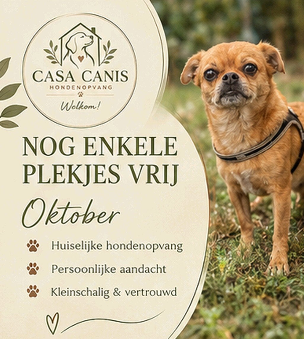 honden opvang en uitlaat plekjes!, Particuliere oppas