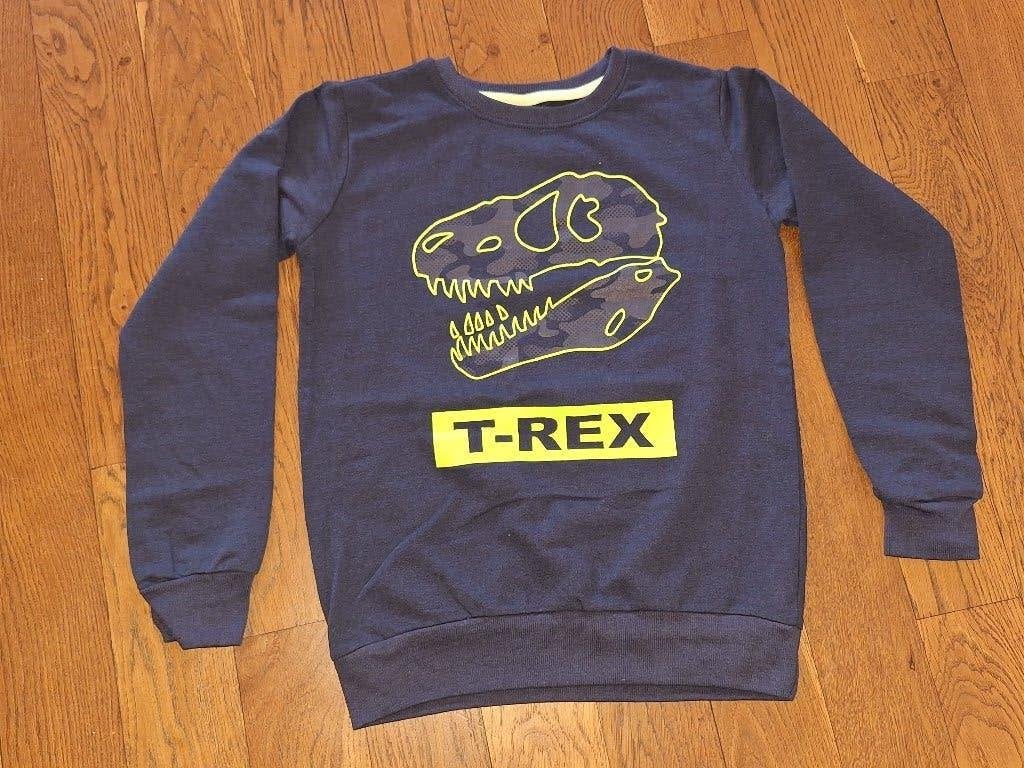 Trui dino / T-rex maat 158/164, Ophalen of Verzenden, Zo goed als nieuw, Jongen, Trui of Vest