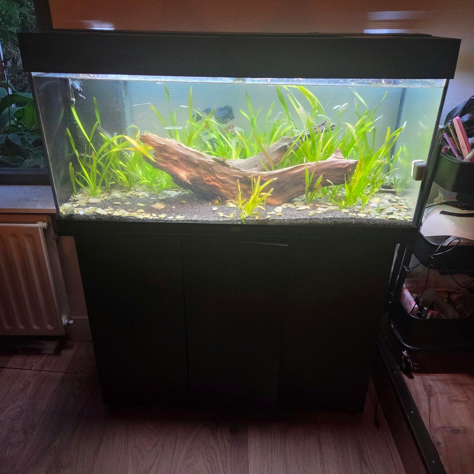 Juwel Aquarium 180 inclusief kast en spullen, Ophalen, Gebruikt, Overige typen, Pomp