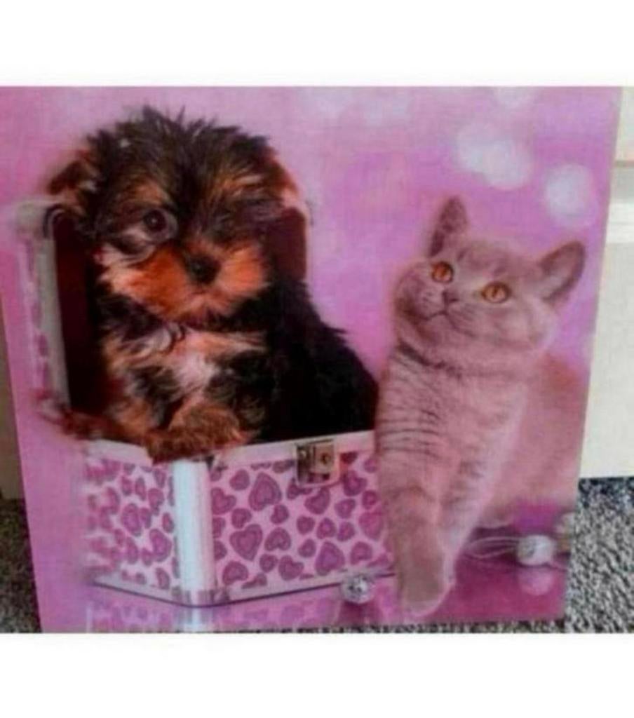 Leuke puppy en kitten canvas schilderij, Ophalen of Verzenden, Zo goed als nieuw, Schilderij