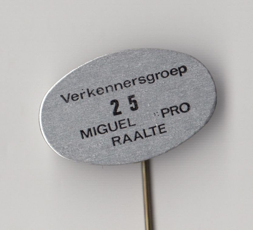 Scouting Raalte Miguel pro Verkennersgroep speldje, Gebruikt, Niet vindbaar, Niet vindbaar, Speldje of Pin