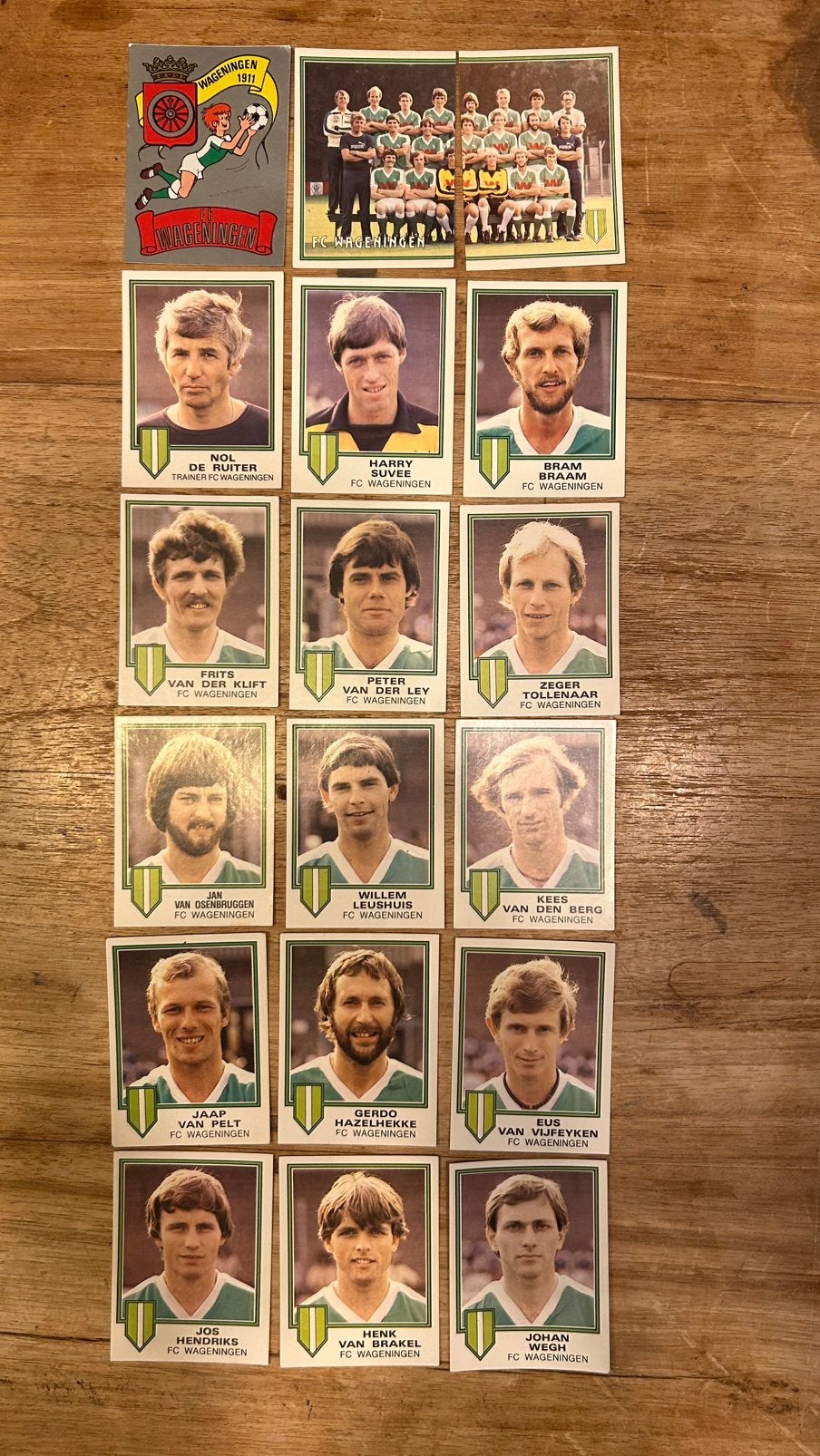 Panini Voetbal 81 plaatjes FC Wageningen compleet 18x, Verzenden, Zo goed als nieuw, Meerdere plaatjes