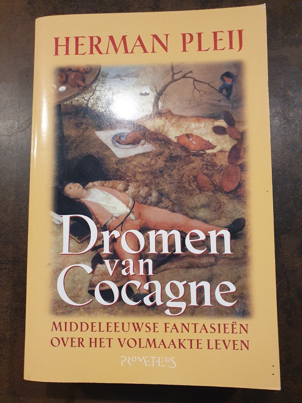 Dromen van Cocagne - Herman Pleij (Middeleeuwse fantasieën), Ophalen of Verzenden, Zo goed als nieuw