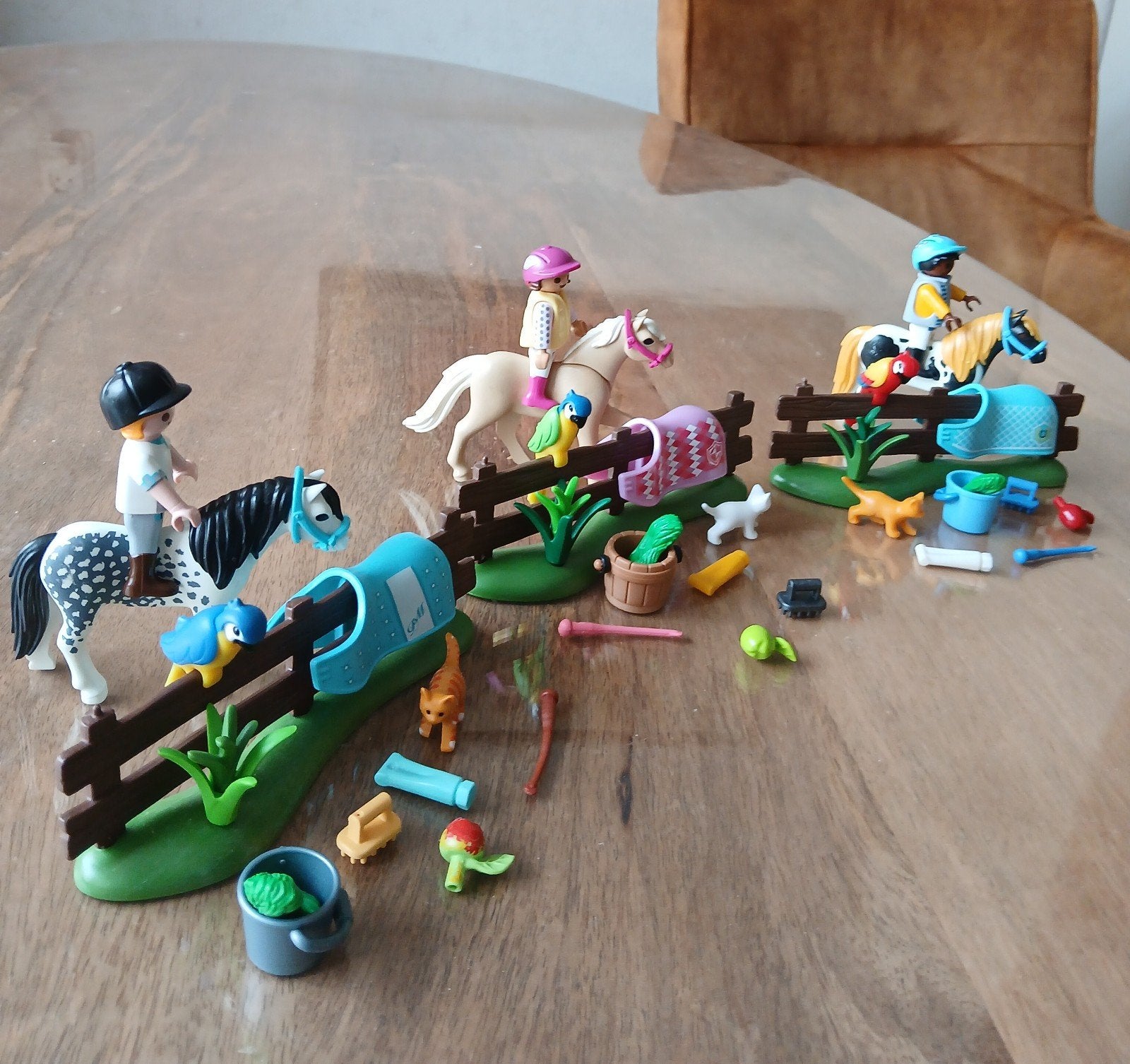 Playmobil kinderen met pony's, papegaaien en poesjes, Ophalen of Verzenden, Gebruikt