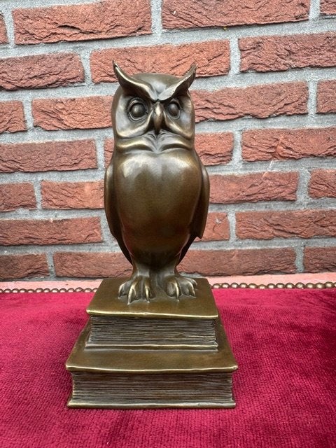 fraai bronzen beeld, de wijze uil, Ophalen of Verzenden, Brons