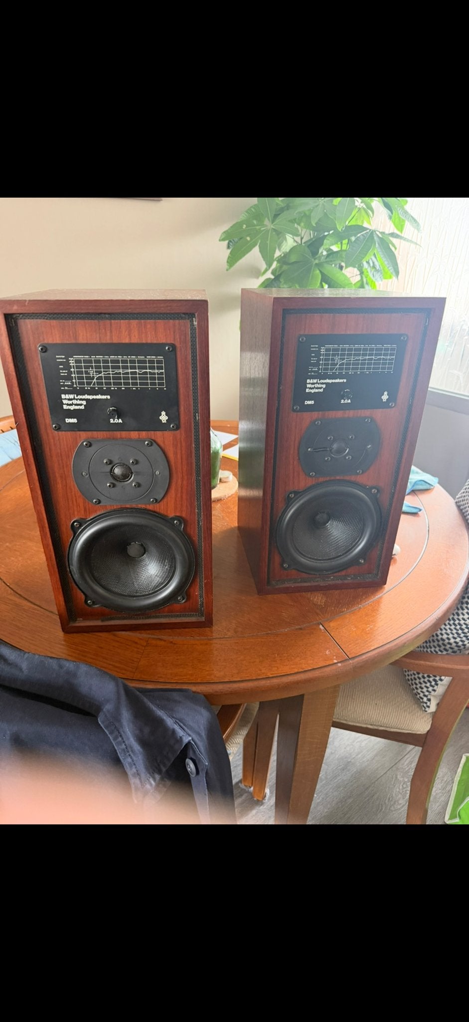 Bowers & Wilkins DM5 Woofers/Drivers gezocht, Audio, Tv en Foto, Ophalen of Verzenden, Gebruikt, Overige typen, Bowers & Wilkins (B&W)