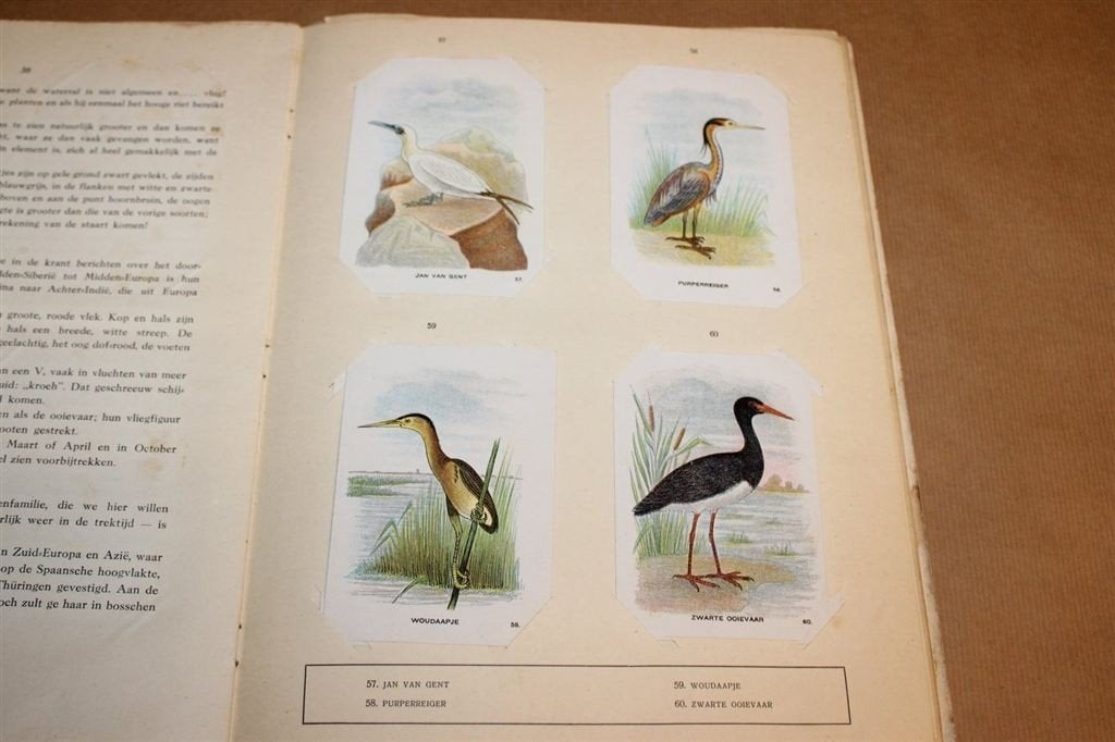 Vogelalbum Deel 2 — Compleet Plaatjesalbum Tiktak 1927, Boeken, Ophalen of Verzenden, Gelezen