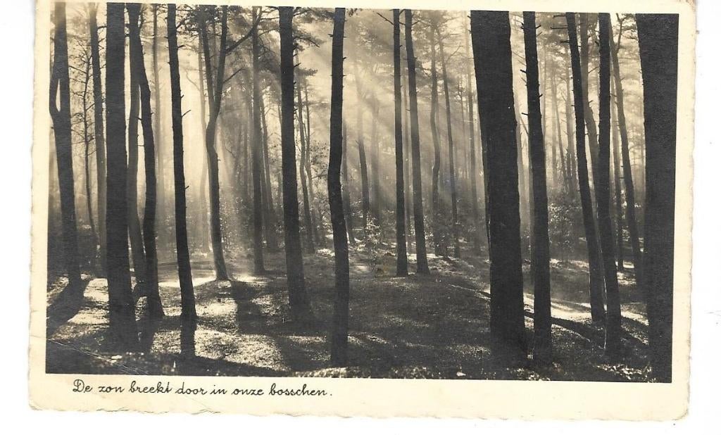 M143 Middelburg, Ophalen of Verzenden, 1940 tot 1960, Gelopen, Zeeland