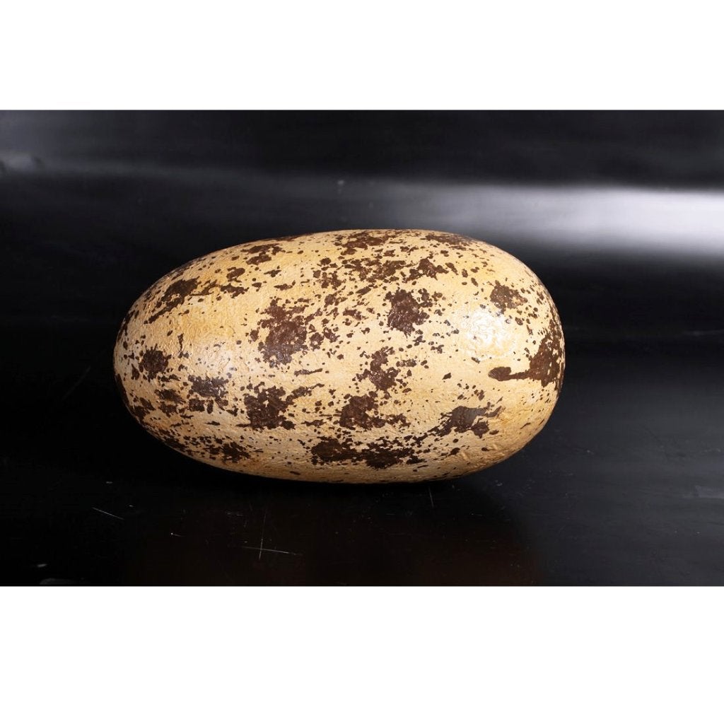 Theropod Egg 12″ – Dinosaurus Ei decoratie, Ophalen, Nieuw, Overige typen
