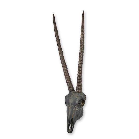 Antilope schedel met hoorns - Decoratief object, Ophalen of Verzenden